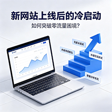 凤泉建站-新网站上线后的冷启动：如何突破零流量困境？