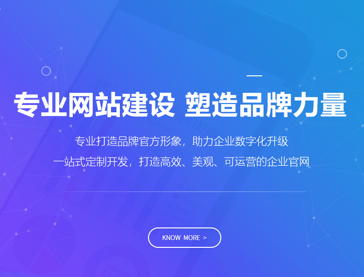 新乡建站-专业网站建设 塑造品牌力量